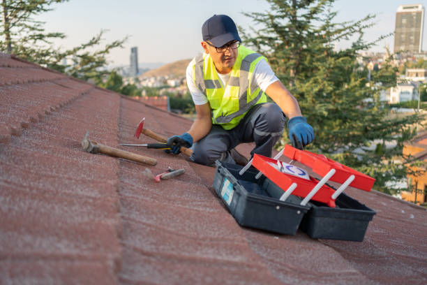 Best Brick Veneer Siding  in Vaville, CA